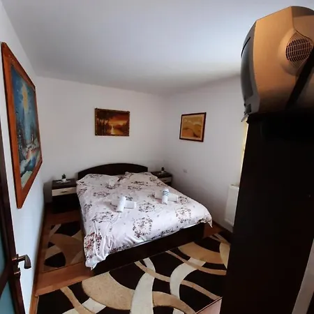 Casa Daria Statjunea Borsa