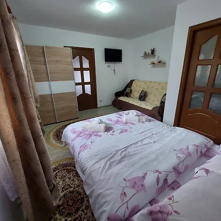 Holiday home Casa Daria Statjunea Borsa